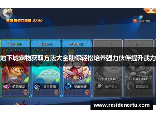 地下城宠物获取方法大全助你轻松培养强力伙伴提升战力